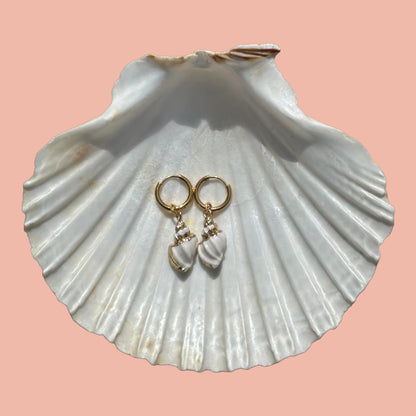 Ocean shell hoops