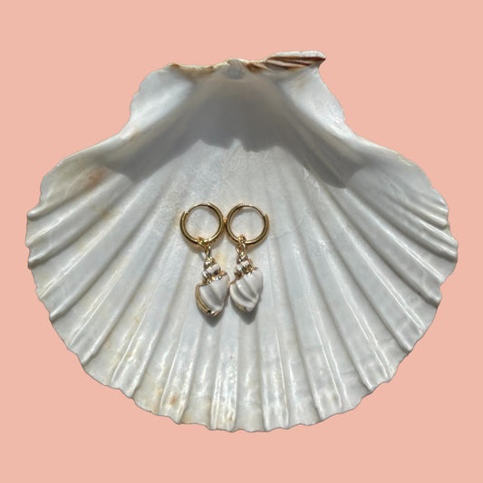 Ocean shell hoops