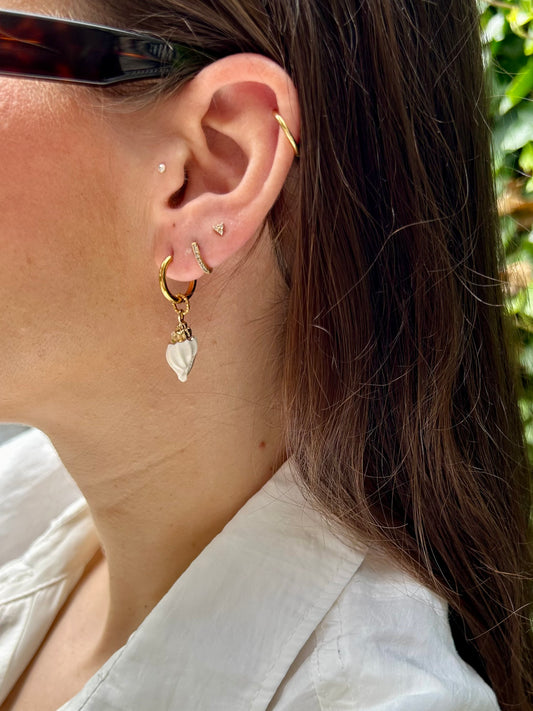 Ocean shell hoops