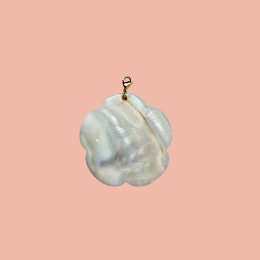 Shell charm